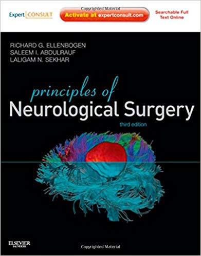Principles Of Neurosurgery Setti Rengachary Pdf To Word